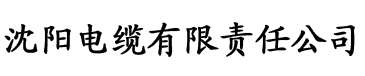 国产视频香蕉久久久电缆厂logo